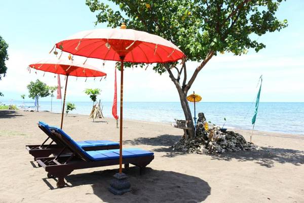 2bed Beachfront Pool house at Lovina Beachhouse