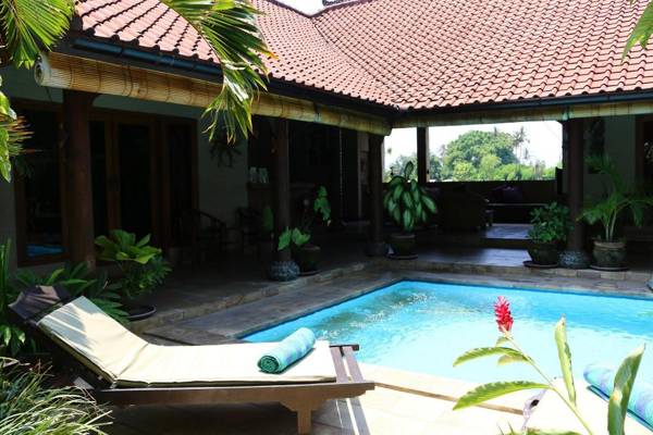 Villa Penyu 2 bed pool at Lovina Beachhouse Villas