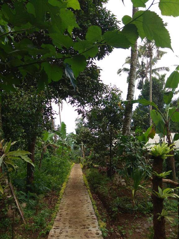 Bali mountain forest cabin
