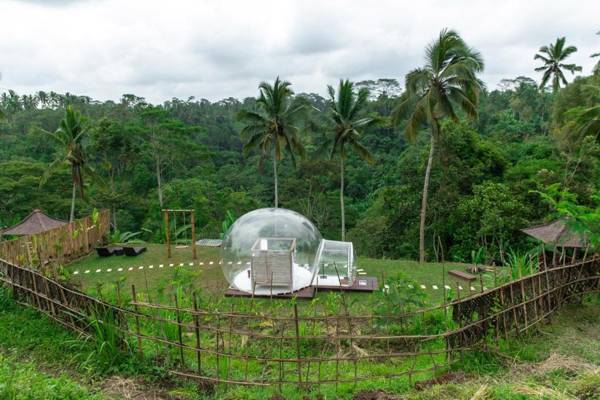 Romantic Bubble Dome Ubud