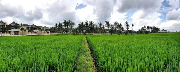 RC Ubud Villa 2