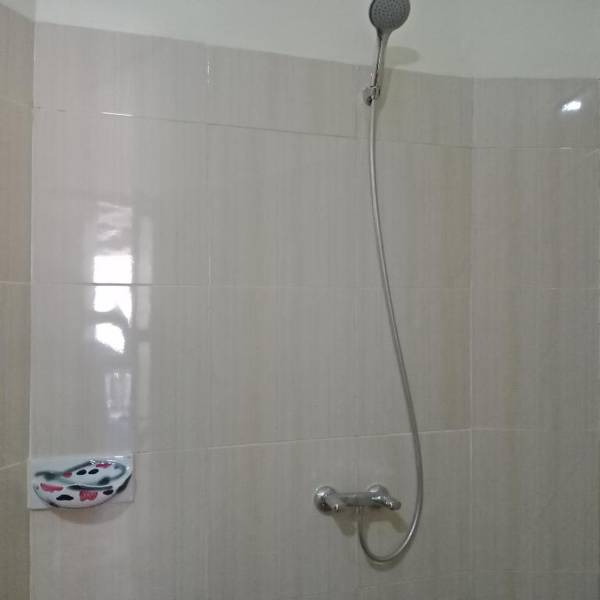 Backpackers Home Amed