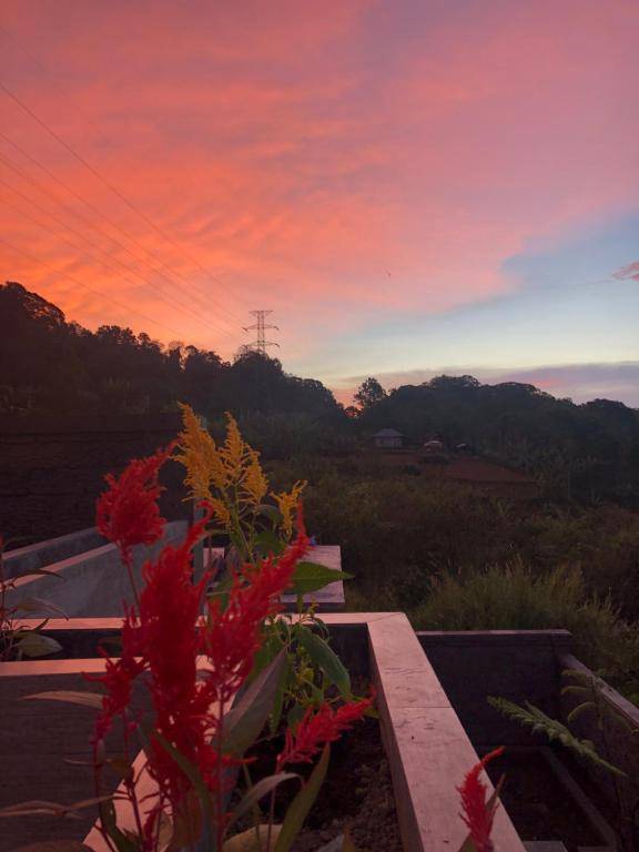 BUYAN LODGE lake view villa