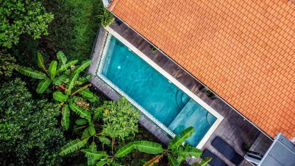 New 3 Bedroom Pool Villa with Jungle View Canggu