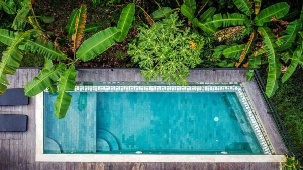 New 3 Bedroom Pool Villa with Jungle View Canggu