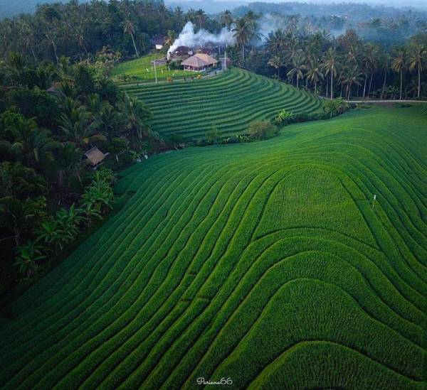 Bali Sesandan Garden