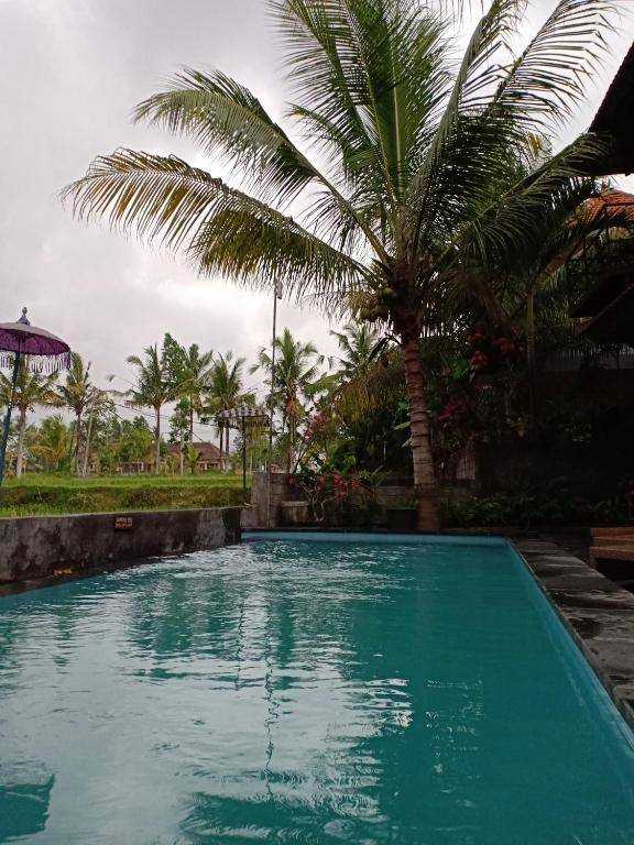 Semanggi Clover cottage