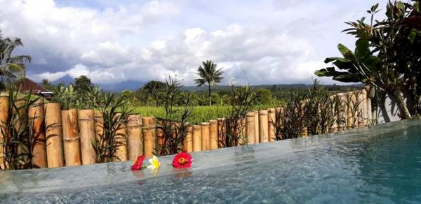 Room in Villa - The Champuhan Villa - Honeymoon Villa With Rice Field View