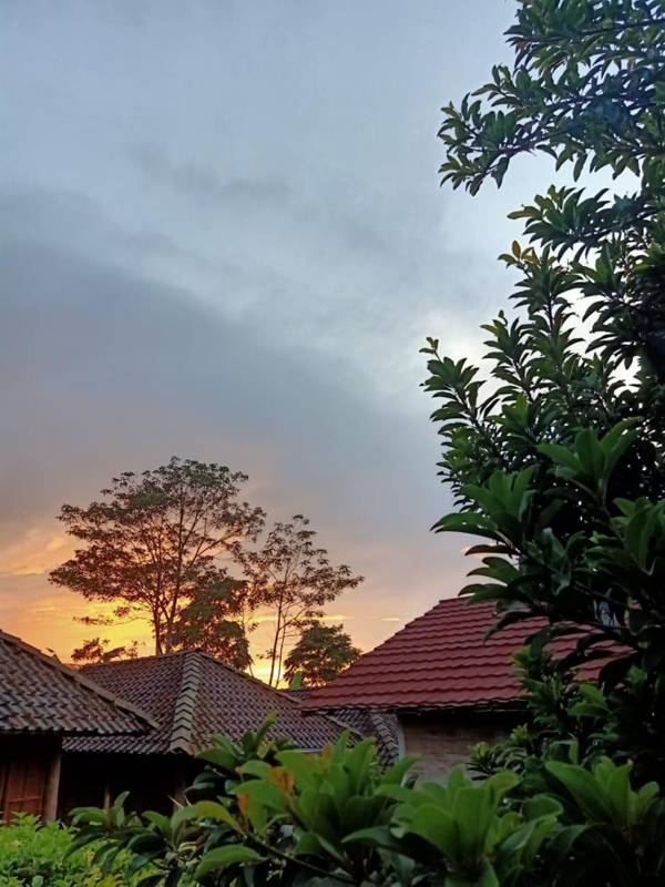 Pondok Bamboo Sendangsari