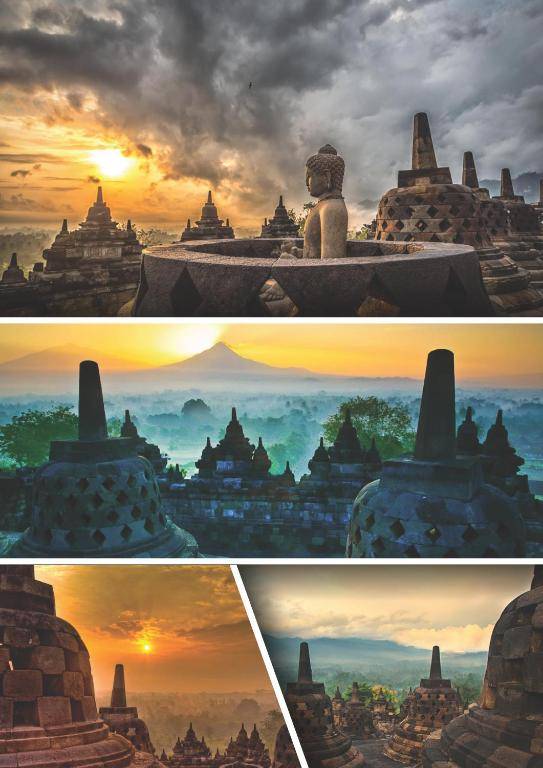 Venezia Homestay and Garden