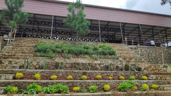 Bukit Lintang Sewu Domping