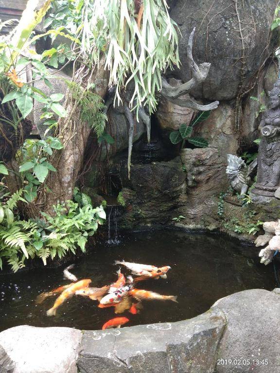 Dewi Antara Homestay