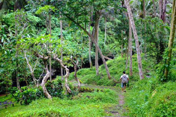 Ubad Retreat Ubud