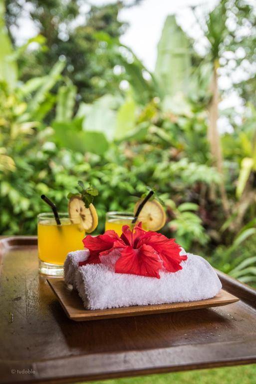 Bunut Garden Luxury Private Villa