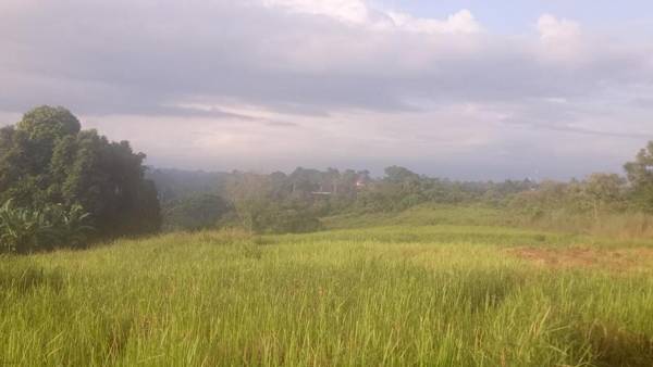 Krisda Ubud Guest House