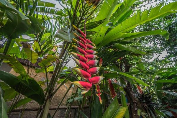 Tegar Guest House Ubud
