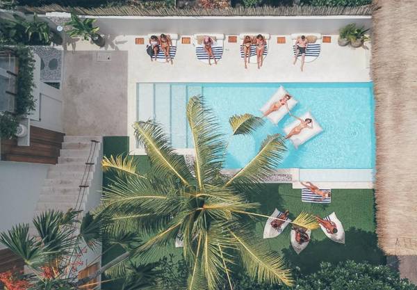 Arya Wellness Retreat