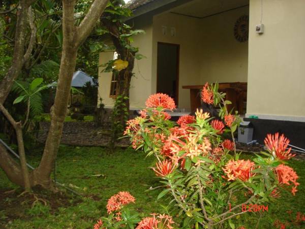 Penginapan Sedap Malam