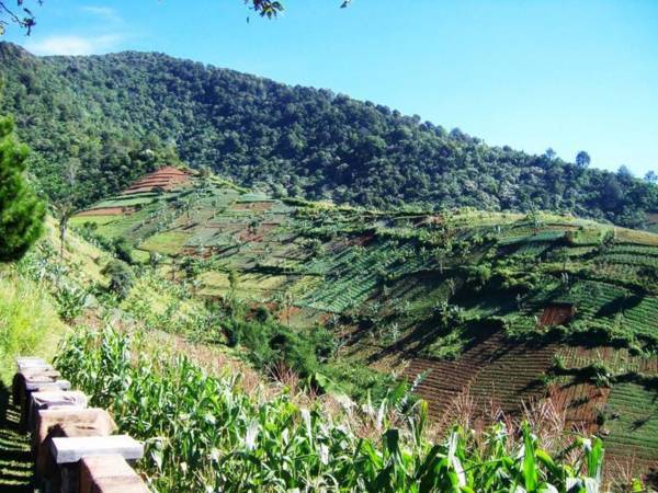 Talita Resort Ciloto Puncak