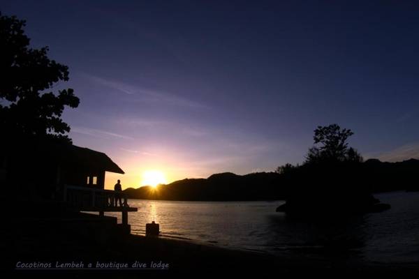 Cocotinos Lembeh A Boutique Dive Lodge