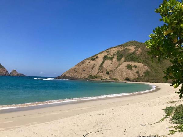 Loka Surf & Fitness Lodge