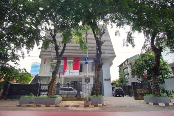 House Of Arsonia Tulip