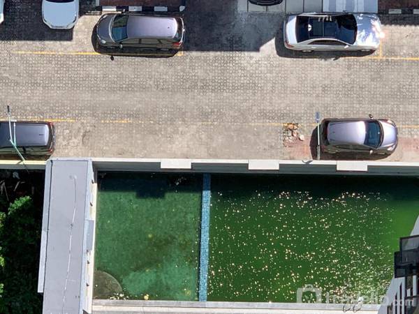 Cozy Studio at Amethyst Apartment By Travelio