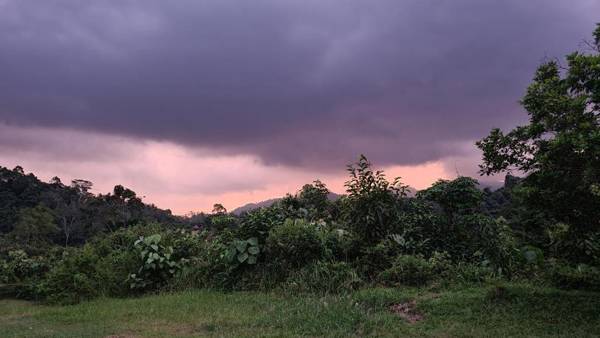 Bukit Lawang Hill Resort