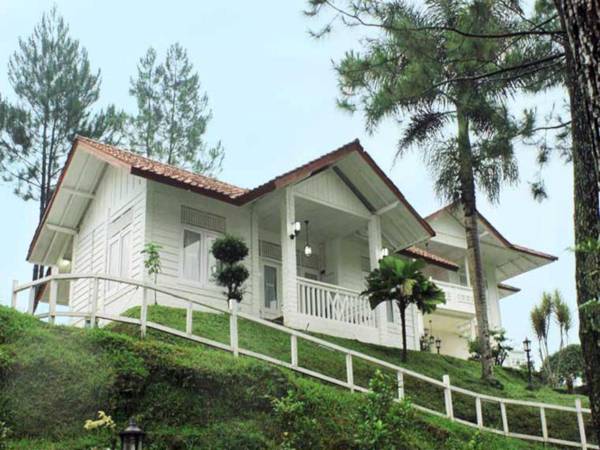 MARBELLA VILLA RESORT​