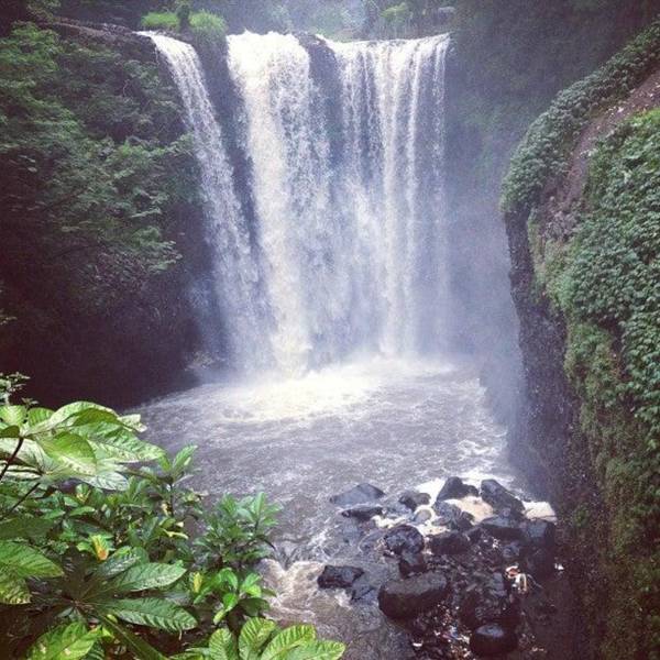 Springhill Villa Syariah 4 BR + 1 BR