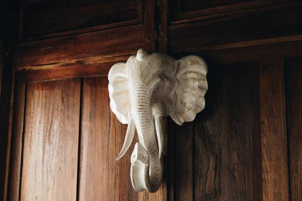 White Tortoise Eco Villa's