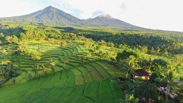 Ijen Resort and Villas