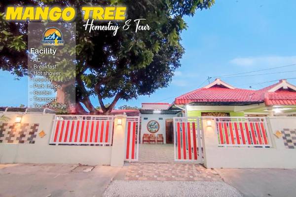 Mango Tree Homestay & Ijen Tour