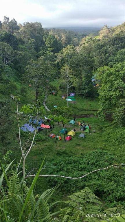 Tereng Willis Camping Ground