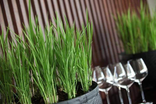 The Lombok Lodge Suites & Private Villas