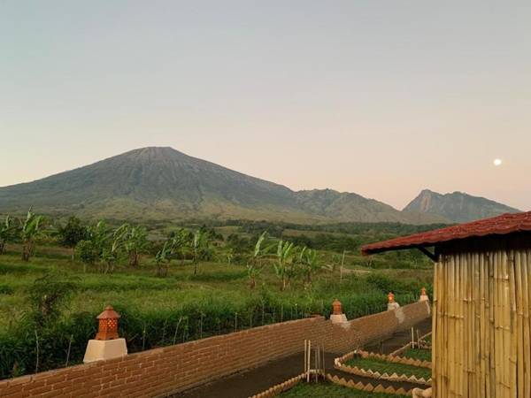 The Gate Rinjani