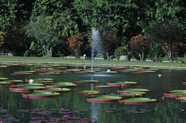 Amaroossa Royal Hotel Bogor