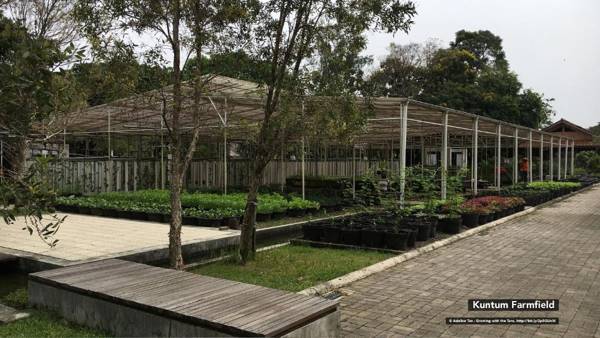 Citrus-House com Hotel