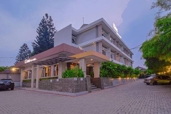 Citrus-house.com Hotel