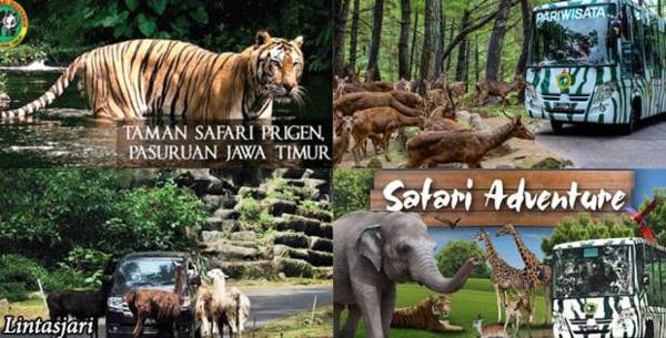 GIO Guesthouse Bogor