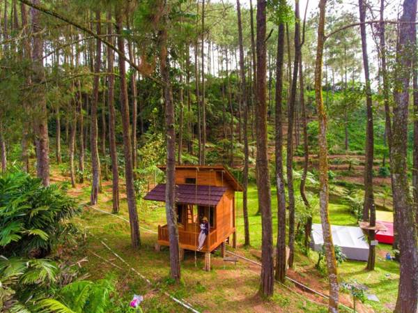 Kampung Rimba by Anrha