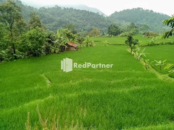 De Salak Homestay Gunung Salak RedPartner