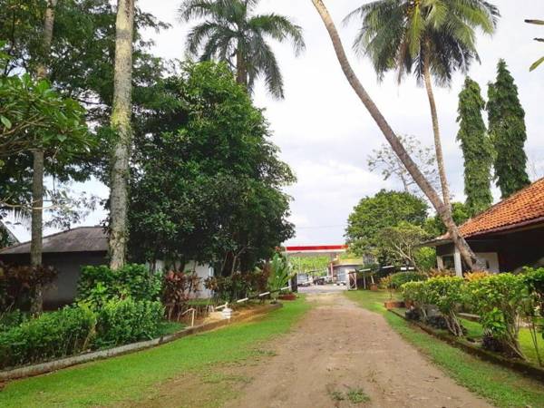 Bintang Laut Resort