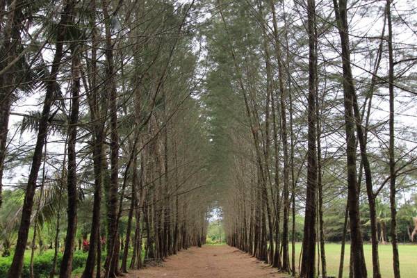 Breeze Apartments at Bintaro Plaza Residences by OkeStay