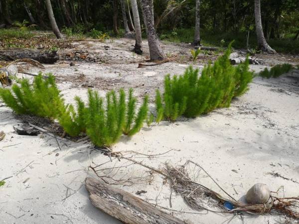 Pondok Wisata Pulau Balong