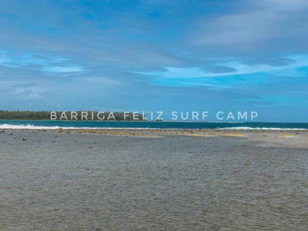 Barriga Feliz Surf Camp