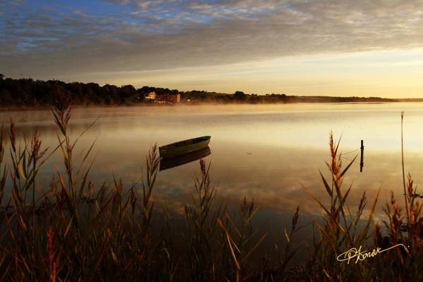 Ferrycarrig Hotel