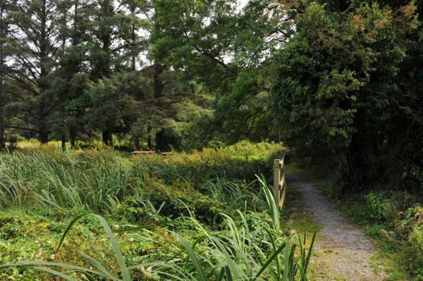 Killarney Glamping at the Grove Suites and Lodges