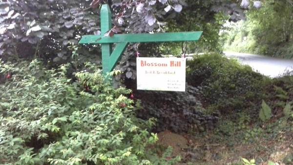 Blossom Hill Bed and Breakfast