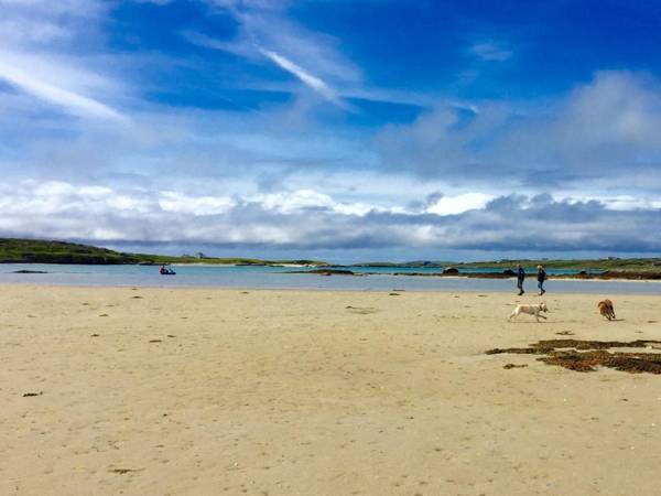 Apartment 263 - Clifden